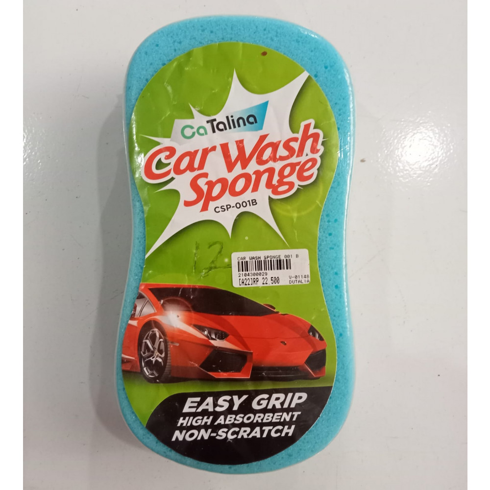 CAR WASH SPONGE 001 B