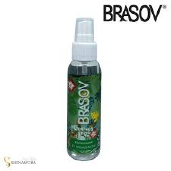BRASOV B MIST CURIOUS HJ 100