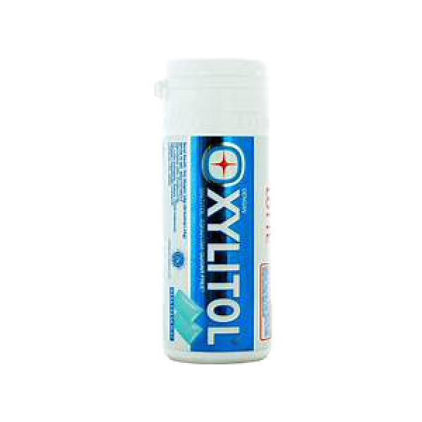 LOTTE XYLITOL MINI FRESH MINT 26 GR