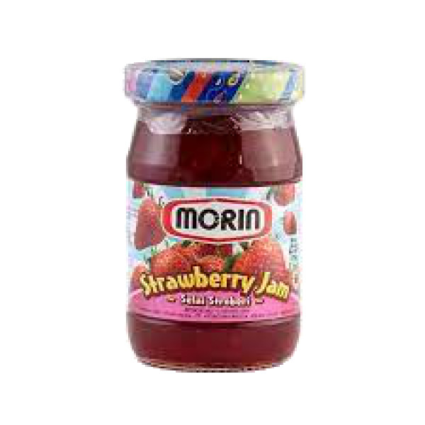 MORIN STRWB 330GR