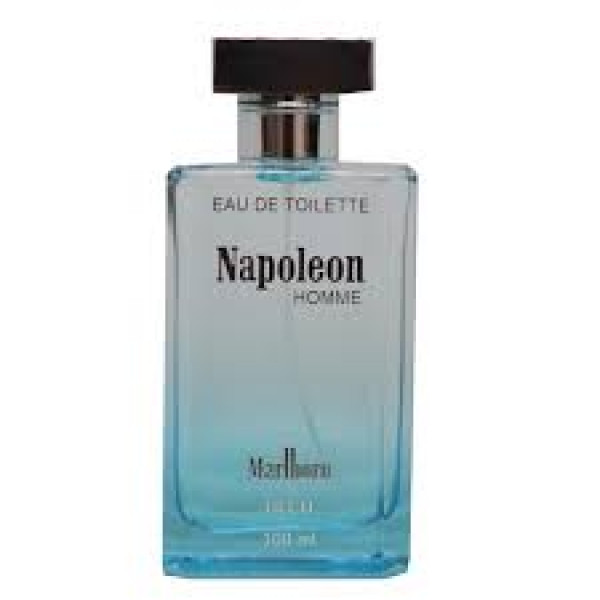 NAPOLEON EDT HOME BLEU BR 100